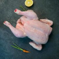 Pollo intero