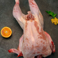 Tacchino intero - 5kg