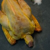 Gallo
